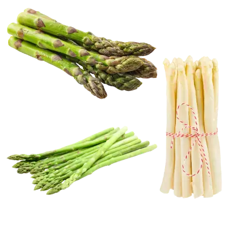 Frischer weißer und grüner Spargel liegen nebeneinander.