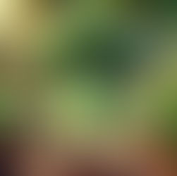 Illustration eines kindlichen Brokkolis für Kinder stehend im Knabbergarten