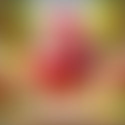 Greta Granatapfel aus dem Knabbergarten