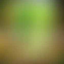 Kasper Kopfsalat steht lächeln im Knabbergarten