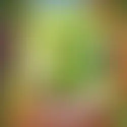 Tilda Weintraube die immer etwas traurige Heldin aus dem Knabbergarten