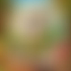 Blumi Blumenkohl, eine freundliche weibliche Blumenkohl-Figur aus dem Knabbergarten, kindgerecht illustriert und lachend – Gemüse für Kinder spielerisch erklärt