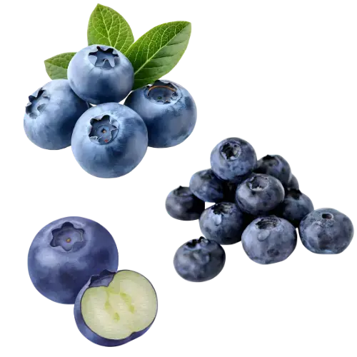 Reife blaue Heidelbeeren und eine aufgeschnittene Heidelbeere