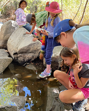 kids at the creek.jpg