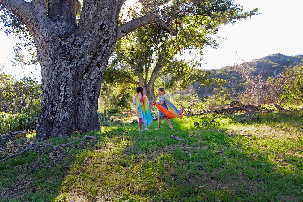 rainbow capes.JPG