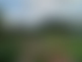 Parable of the Sower | Matthew 13:1-23