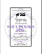 Sharhe Nehjulbalaga Urdu