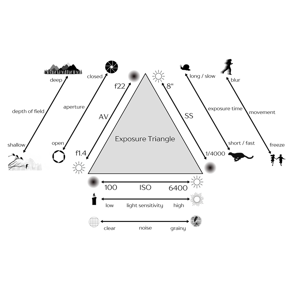 The Exposure Triangle: Designed by Elesha Lake