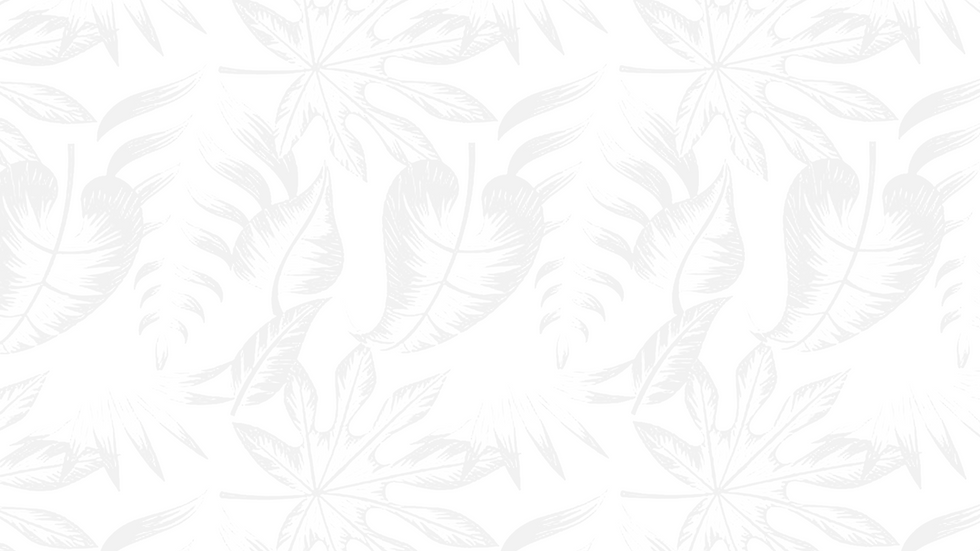 tamos bg.png