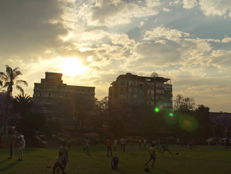 Workshop on Burgers Park Reflection:What does food gardening have to do with anything?