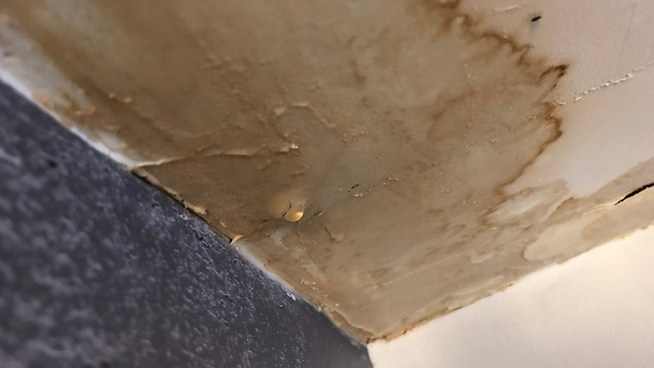 water damage ATPA.png