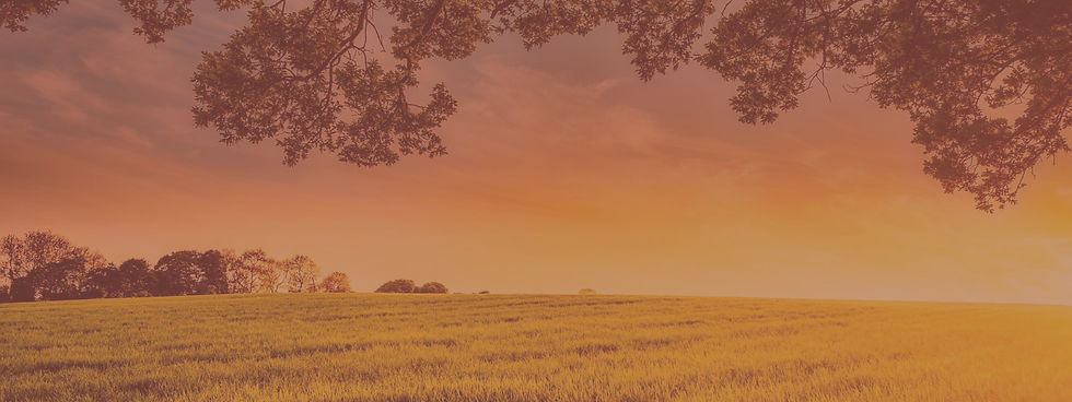 Untitled design (8).png