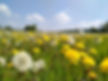andrea-villiers-EyU1UgZ3CUo-unsplash-scaled.jpg