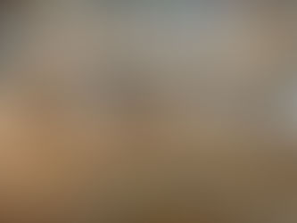 A Brief History Lesson