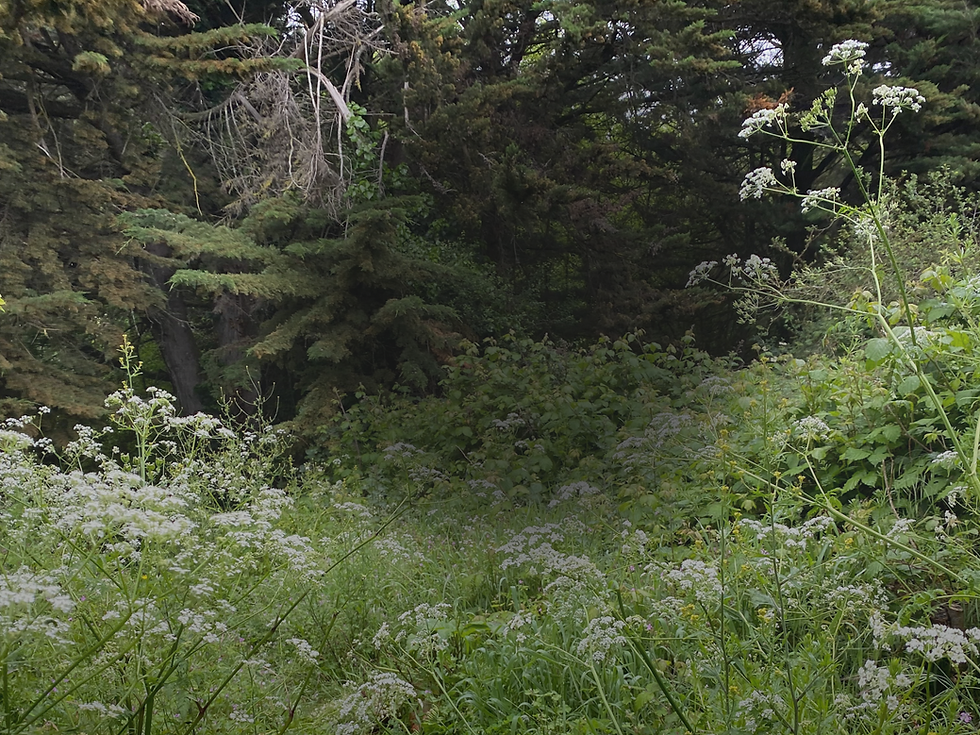 website header with gradient (9).png