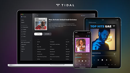 3074991-749477801-tidal.jpg