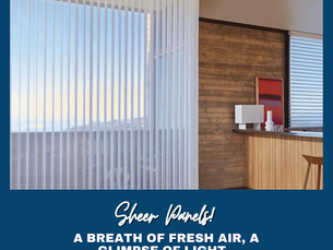 Sheer Panels: A Breath of Fresh Air, A Glimpse of Light