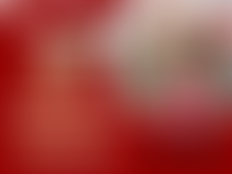 Day 12 of 12 Days of Christmas Specials!