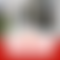 Experience Unmatched Warranty and Customer Service at Silvester Glass