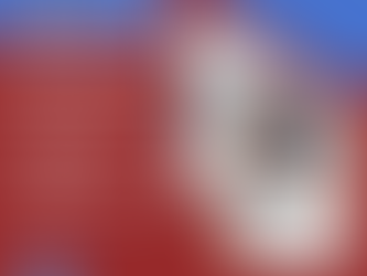 Physical Therapy 2 Go: Professional Care in Your Home