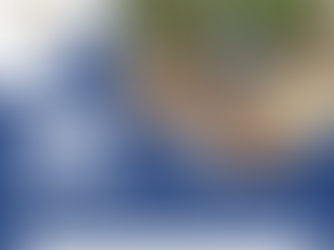 Our Promise: Window Cleaning Cape Cod Where Your Satisfaction is Guaranteed!