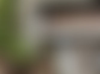 Gutter Cleaning is Love: The Simple Secret to Protecting Your Home's Foundation