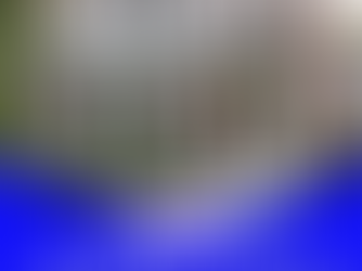 Solid Solutions for Cape Cod Home Repairs