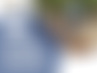 Professional Window Cleaning Service on Cape Cod: Your Satisfaction is Our Commitment