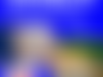 Professional Pressure Washing Services in Cape Cod: Restore Your Home’s Curb Appeal