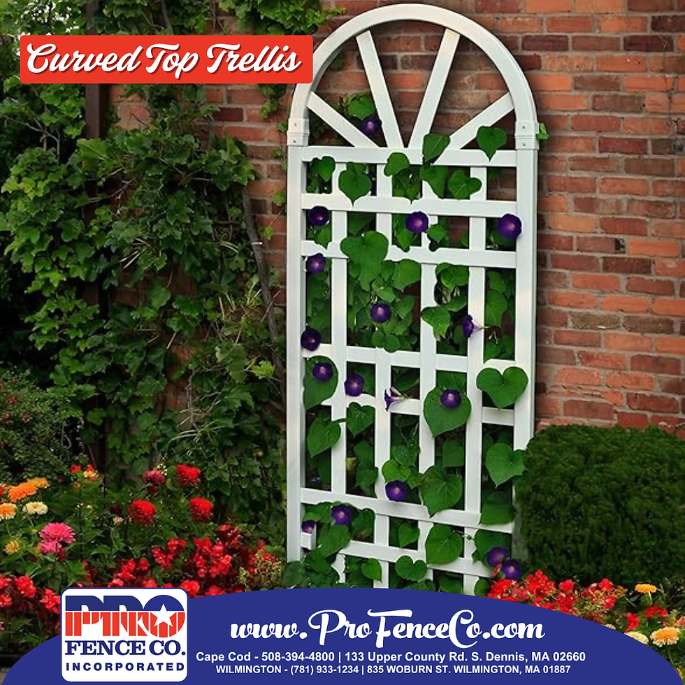 Curved Top Trellis: Add Elegance and Function to Your Garden