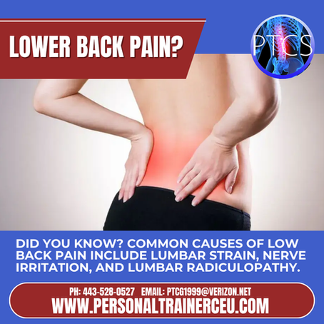 Understanding Lower Back Pain: Looking Beyond the Symptoms