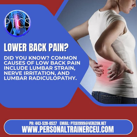 Why Understanding Lower Back Pain Starts With Movement