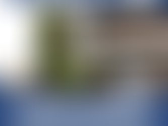 Say Goodbye to Clogged Gutters with Expert Cleaning