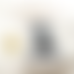 Ventura Single to Double Sit-N-Stand Stroller: The Perfect Fit for Growing Families