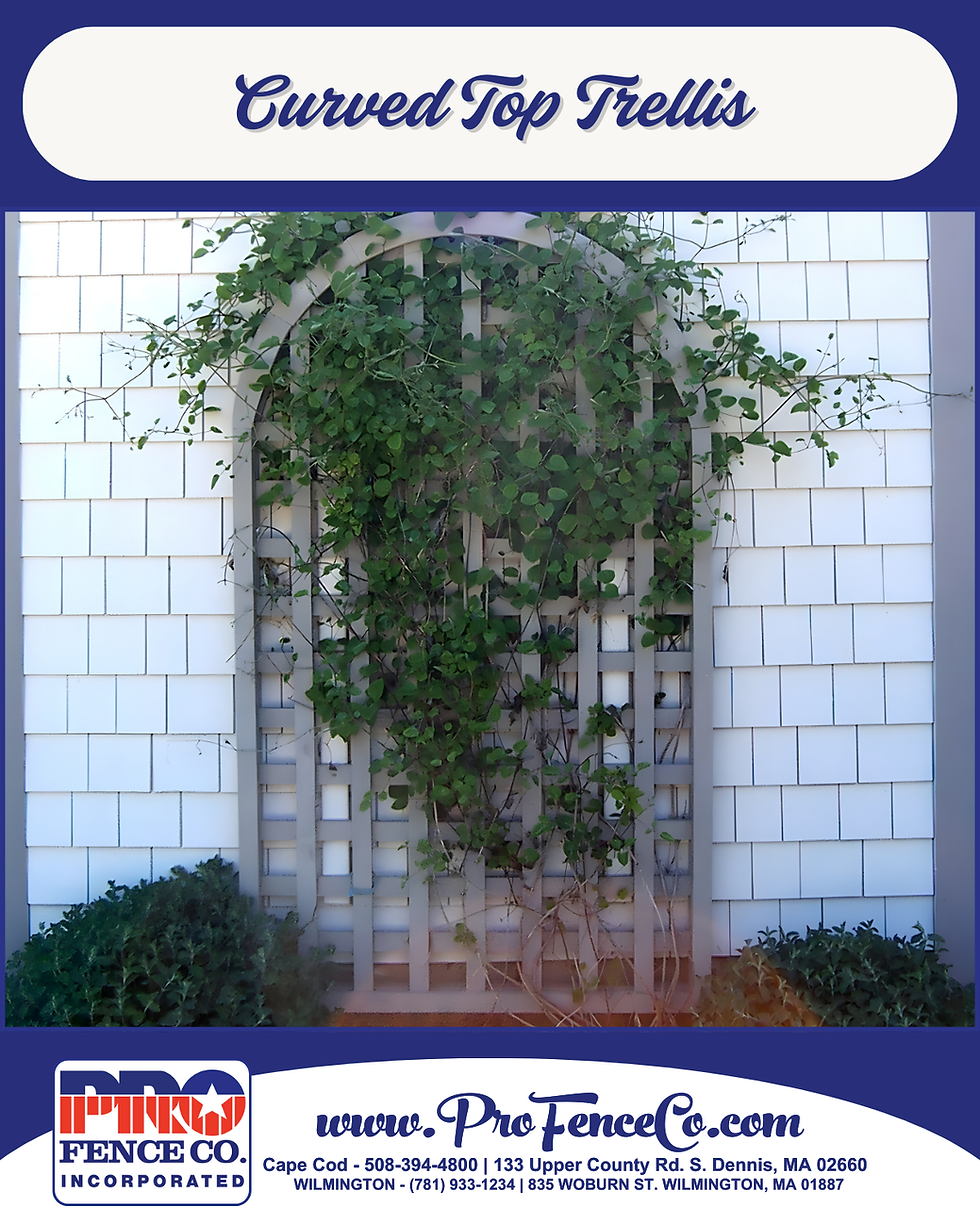 Curved Top Trellis Designs for Massachusetts Homes and Gardens