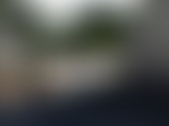 Maximize Your Driveway Potential: The Power of the Echelon Plus Monarch Double Drive Gate