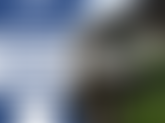 Stop Juggling Contractors: One Crew for All Your Cape Cod Cleaning Services