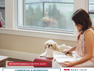Breathe Easily and Live Comfortably with More Than Blinds' Window Screens