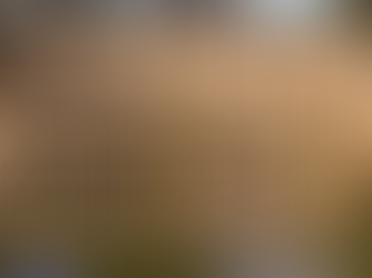 Classic Beauty, Modern Function: The Power of a Cedar Picket Fence