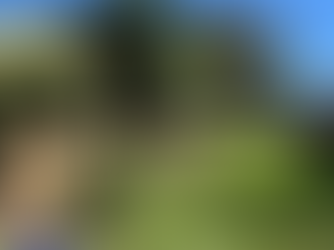 The Essential Role of a Good Fence for Every Homeowner