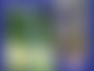 Chain Link Fencing: Secure Your Property Without Losing Your View