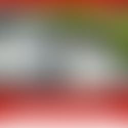 Enhance Your Property’s Safety and Style with Silvester Glass Exterior Railings