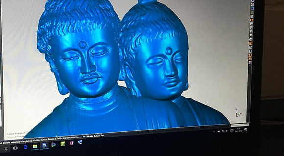 Scan Data on-screen