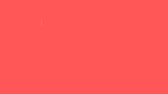 animation.gif