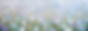 FLORAL BACKGROUND_edited.jpg