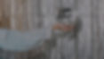 Disco ball banner image