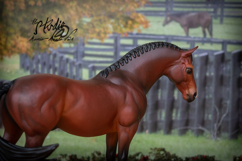 Thumbnail: Custom/CM Breyer Model Horse - Classic Scale Customized Terrang in Bay