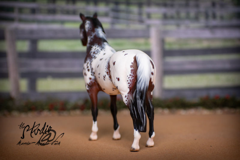 Thumbnail: Custom/CM Breyer Model Horse - Classic Scale Customized Appaloosa Terrang