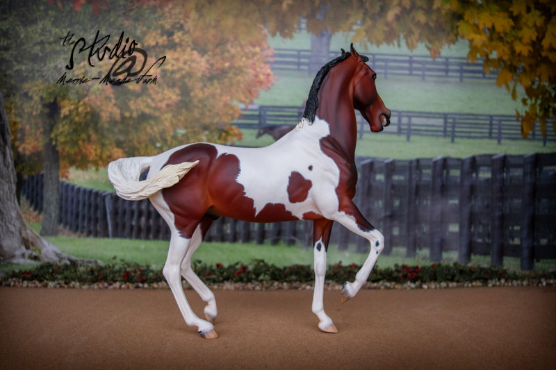Thumbnail: Custom/CM Breyer Model Horse - Traditional Scale Customized Marwari Stallion