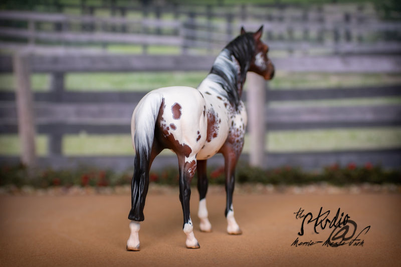 Thumbnail: Custom/CM Breyer Model Horse - Classic Scale Customized Appaloosa Terrang